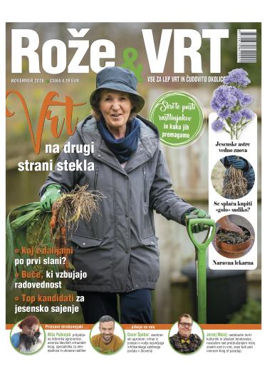 Naslovnica revije