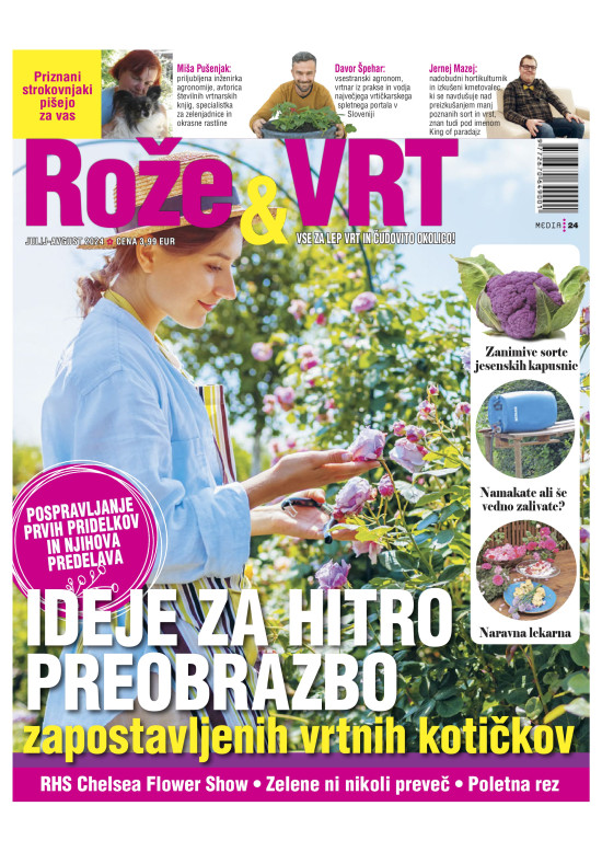 Rože & Vrt - Št. 6