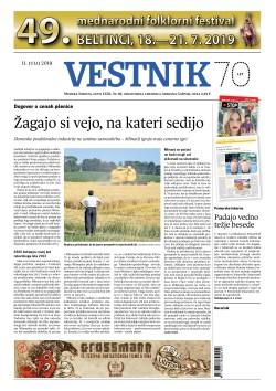 Vestnik 28