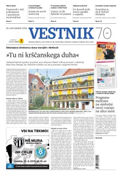 Vestnik 38